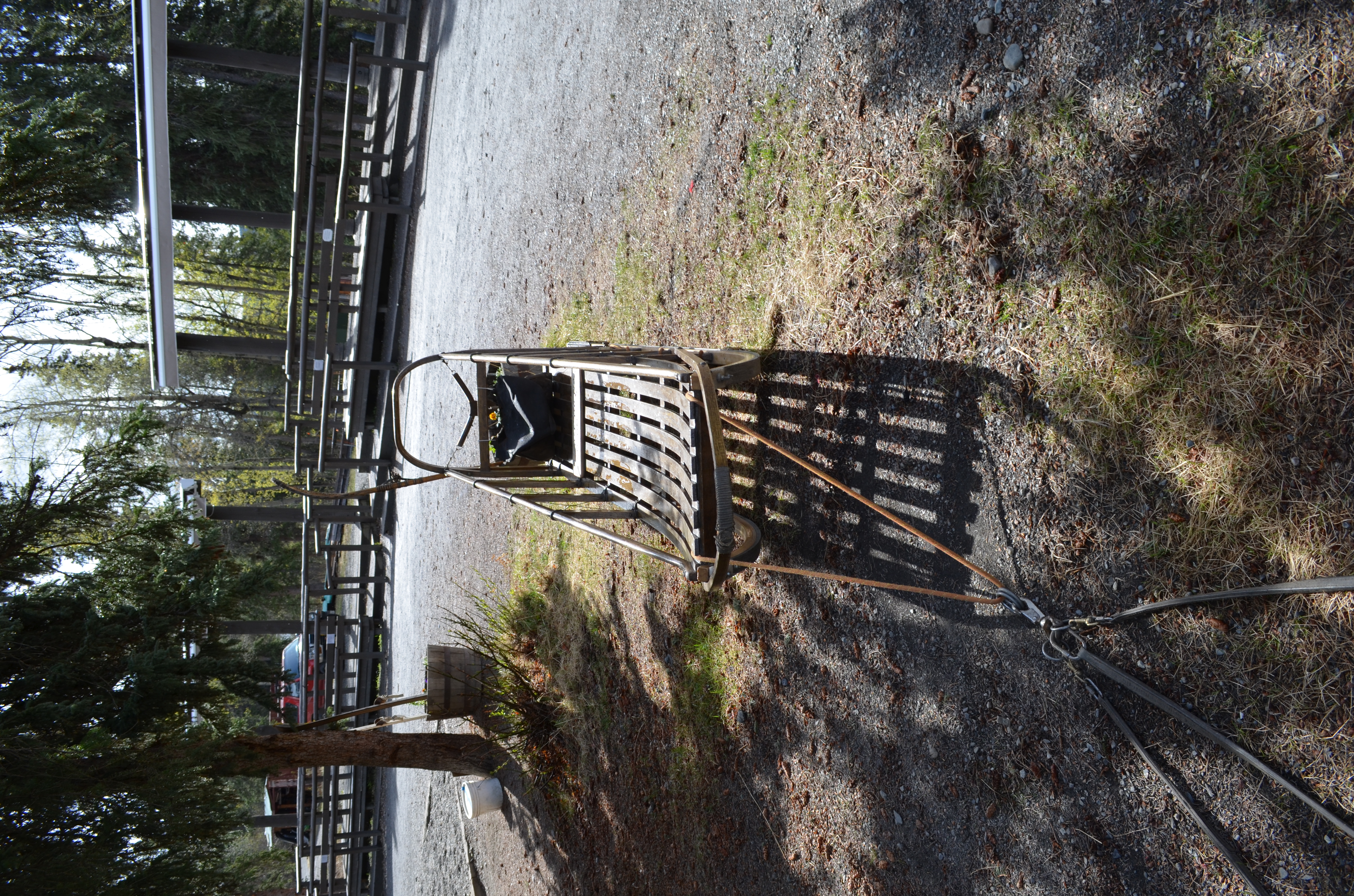 ./2017/08 - Alaska Cruise/03 - Denali/DSC_0315.JPG